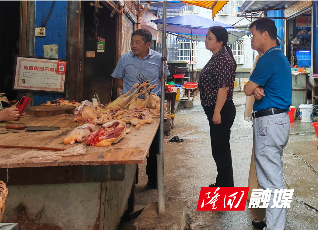 省卫健委到隆回调研指导健康促进县建设工作(图1)