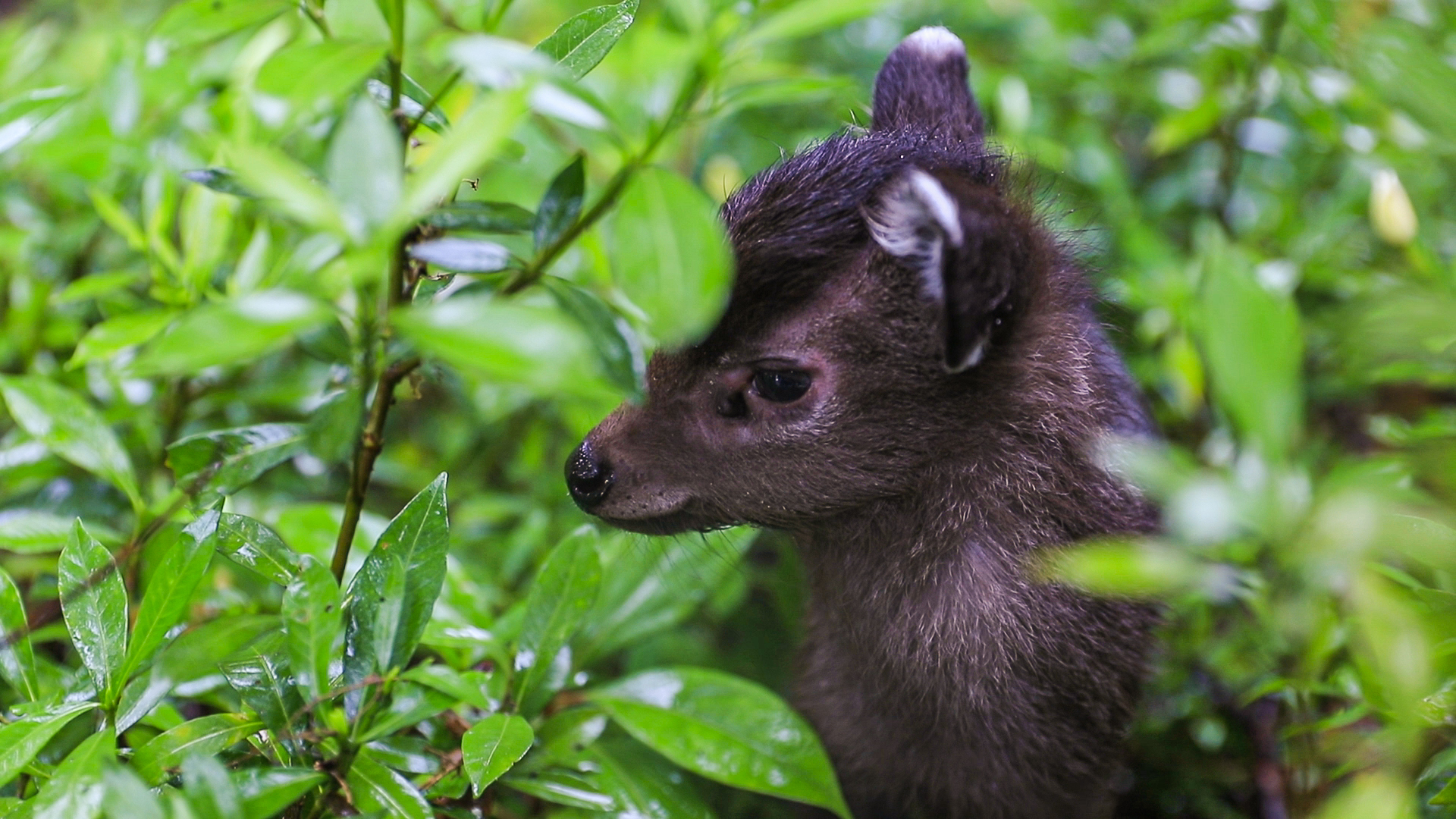 5月29日 (1)(1).jpg