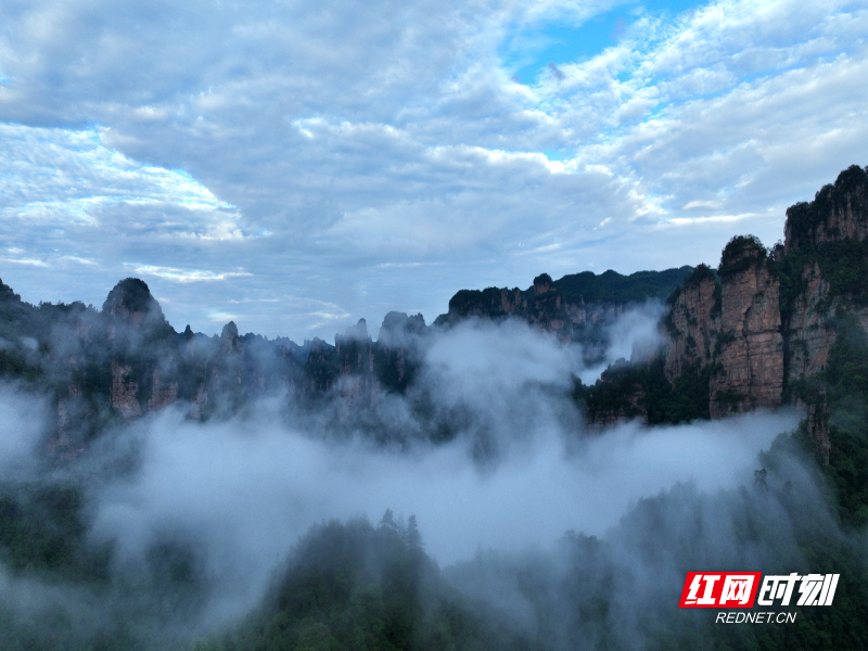 DJI_0290_副本.jpg