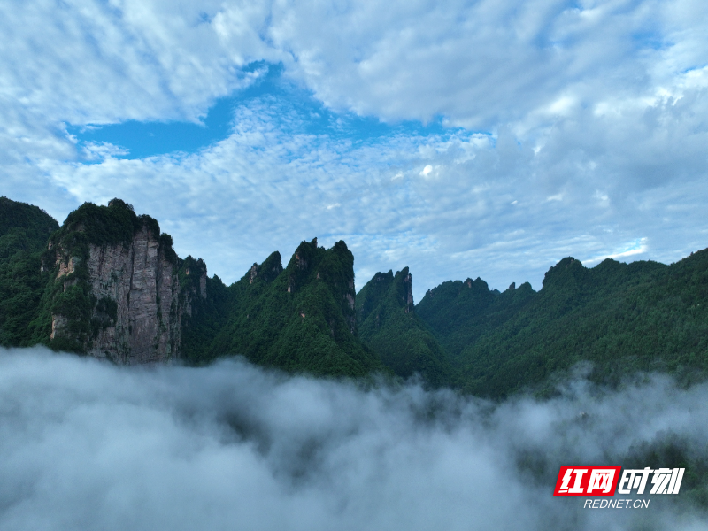 DJI_0352_副本.jpg