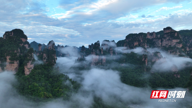 DJI_0236_副本.jpg
