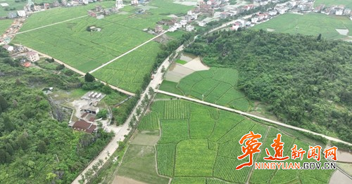 【聚焦国省道沿线交通事故精准防控】 宁远：包保到位 筑牢道路交通安全防线3_副本500.jpg