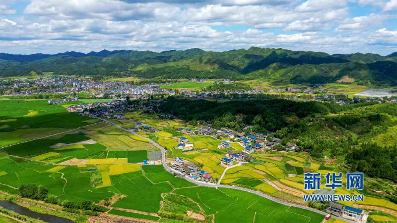  铺筑乡村振兴“幸福道”！“会同经验”在全国性现场会推介
