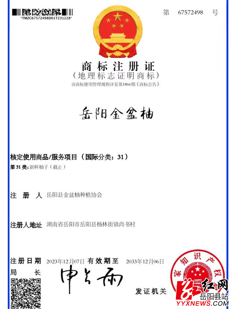 图片4.png 图片4.png