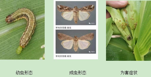 微信截图_20240605184044.png