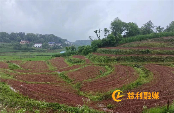 0607003_副本.jpg