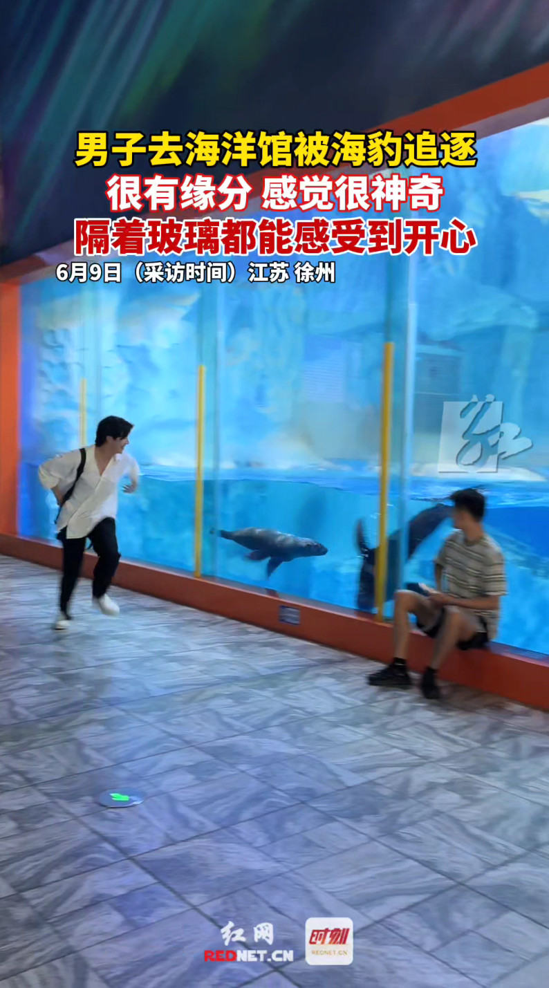 男子去海洋馆被海豹追逐