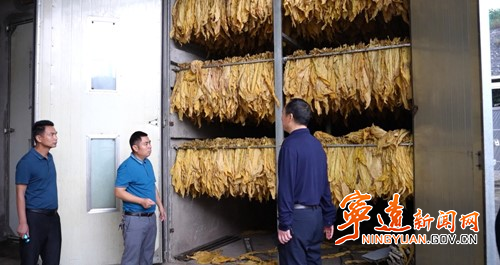 宁远：烤烟开烤工作稳步进行3_副本500.jpg