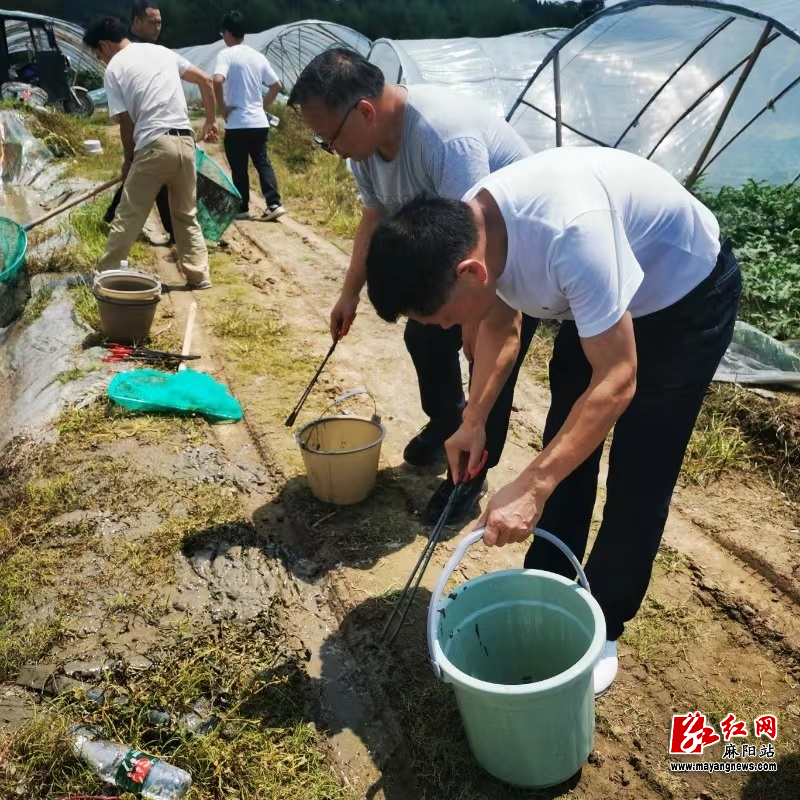 微信图片_20240612101042.jpg
