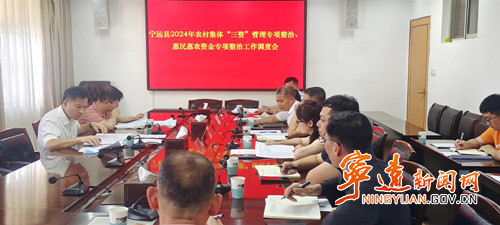 宁远召开2024年农村集体“三资”管理 、惠民惠农  资金专项整治工作调度会_副本500.jpg