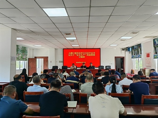 李军书记传达学习总书记关于“安全生产”重要指示精神.jpg
