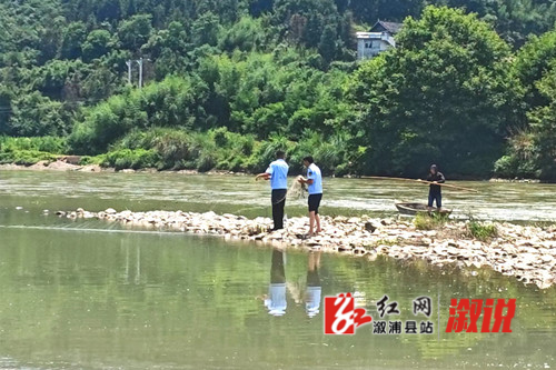 非法捕鱼2_副本.jpg