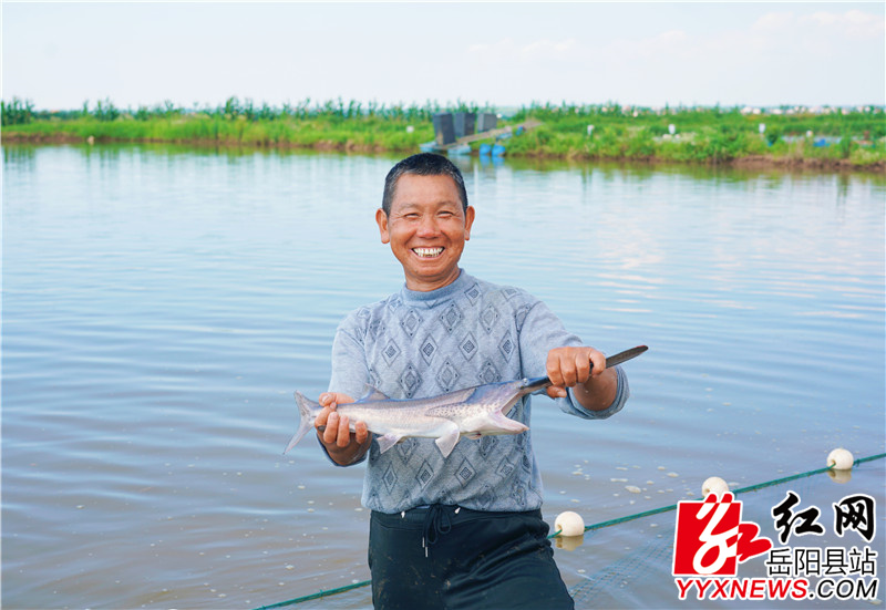 中洲乡北垸村建乔特种水产鸭嘴鱼喜获丰收2.jpg