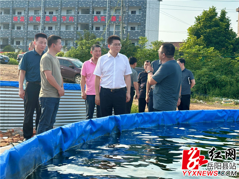 在新墙镇高桥村岳阳清河水鲈鱼工厂化养殖基地督导.jpg