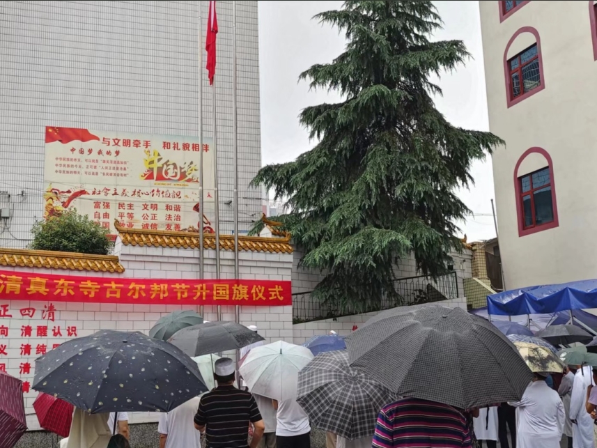 微信截图_20240617115443.png