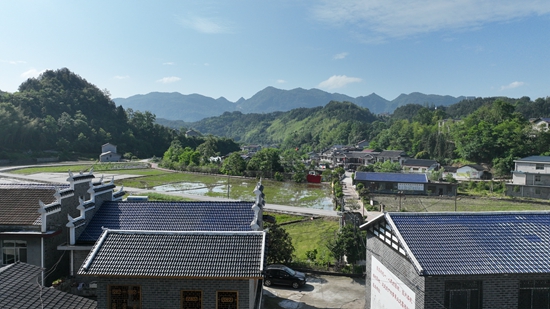 DJI_0744_副本.jpg