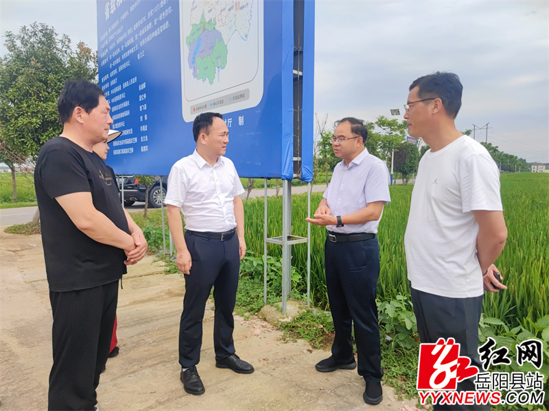 筻口镇察看水稻种植现场.jpg