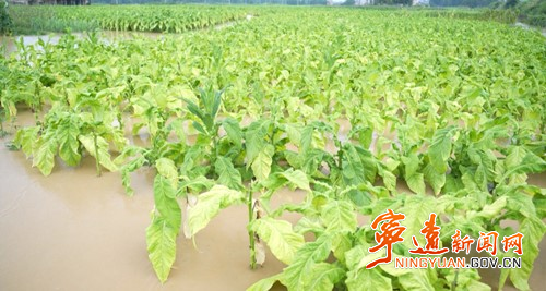 宁远：闻“汛”而动  保障人民群众生命财产安全2_副本500.jpg