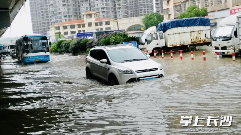 往年暴雨天氣毛家橋市場門口積水難行。資料圖