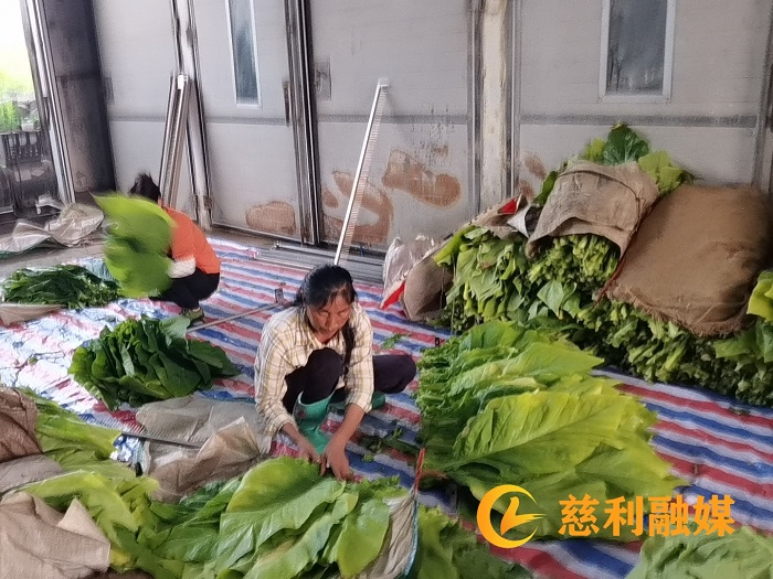 1.1_副本.jpg