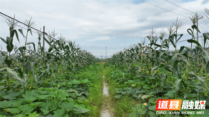 ????????????????????4_??.jpg ????????????????????4_??.jpg