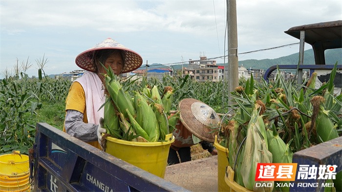 ????????????????????8_??.jpg ????????????????????8_??.jpg