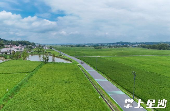 青山铺镇金山路在沃野田畴中一路延伸，为乡村发展带来无限可能。章帝 摄