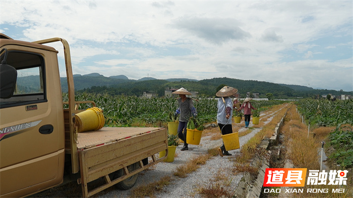 ????????????????????7_??.jpg ????????????????????7_??.jpg