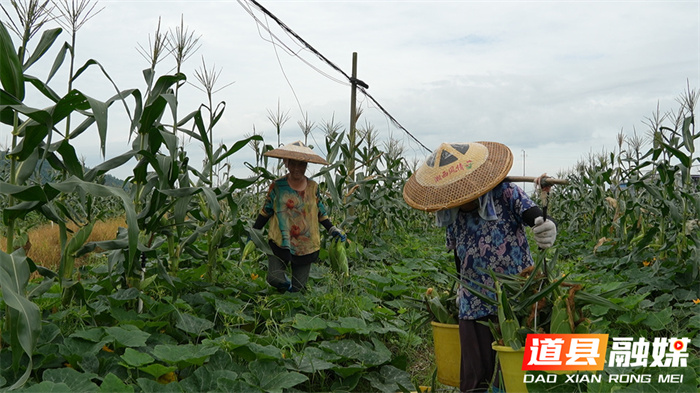 ????????????????????6_??.jpg ????????????????????6_??.jpg