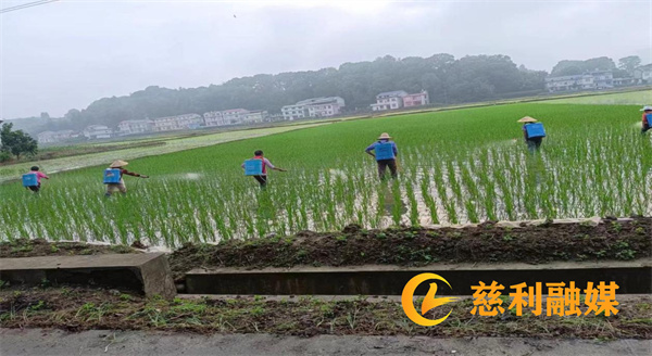 0624_副本.jpg 0624_副本.jpg