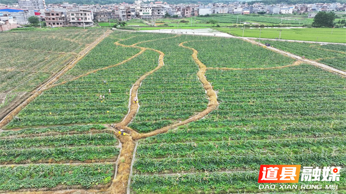 ????????????????????1_??.jpg ????????????????????1_??.jpg