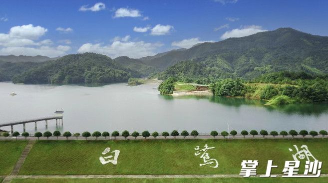 高桥镇X053茶培线，依山畔湖，犹如一幅绿意盎然的风景油画。 章帝 摄
