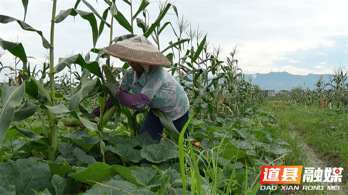 ????????????????????9_??.jpg ????????????????????9_??.jpg