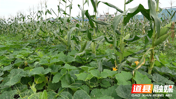 ????????????????????5_??.jpg ????????????????????5_??.jpg