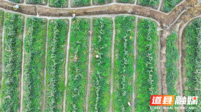 ????????????????????3_??.jpg ????????????????????3_??.jpg