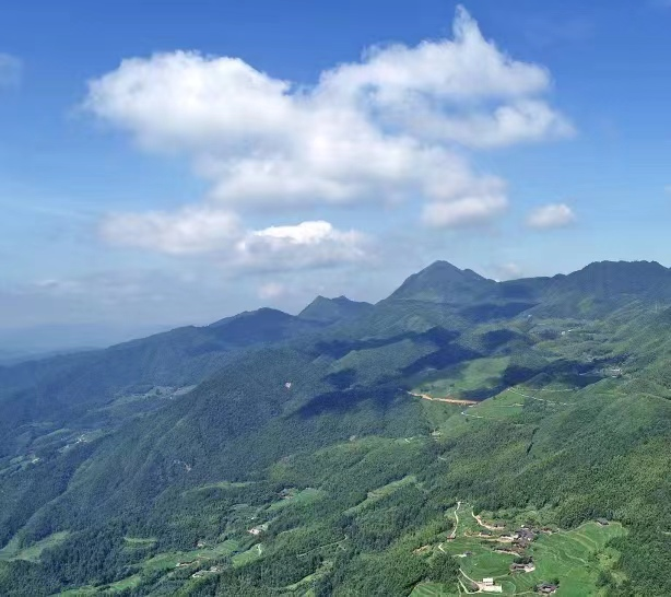 夏日登高黔峰山2.png