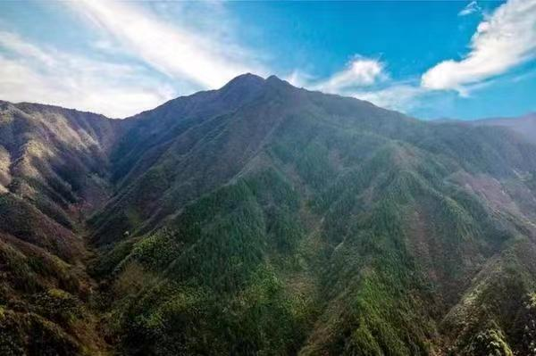 夏日登高黔峰山1.png