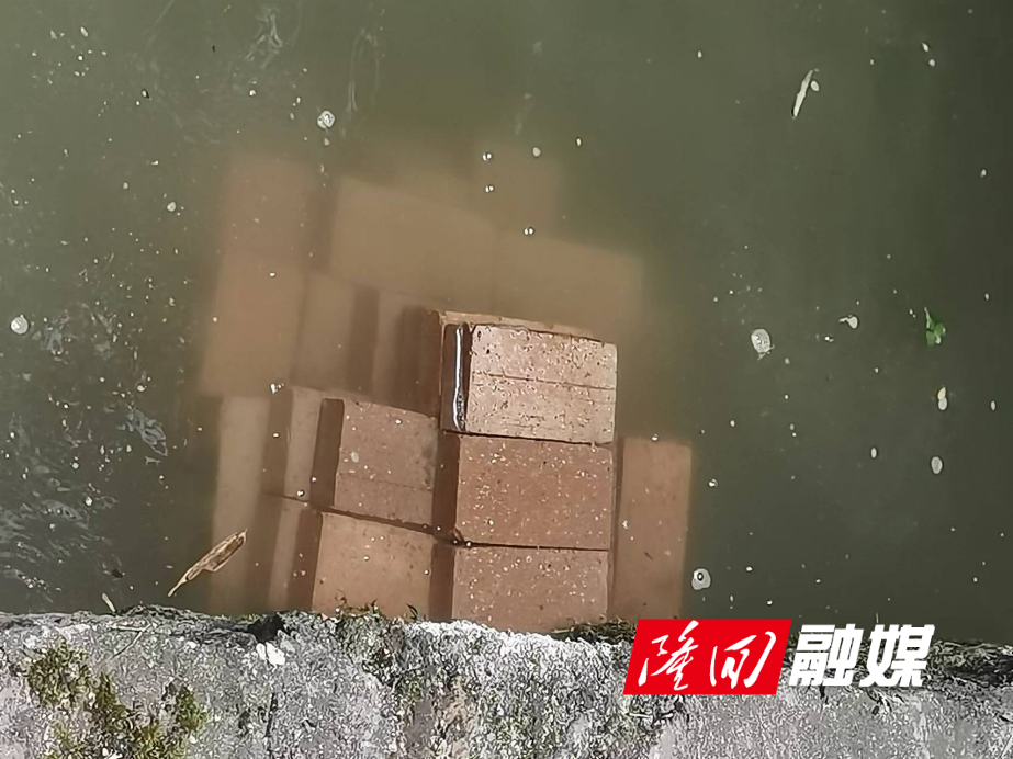 抗洪救灾 隆回县望云山国有林场驻村工作队在行动(图4)