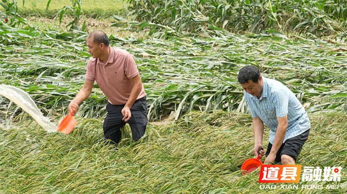 ??????????????????4_??.jpg ??????????????????4_??.jpg