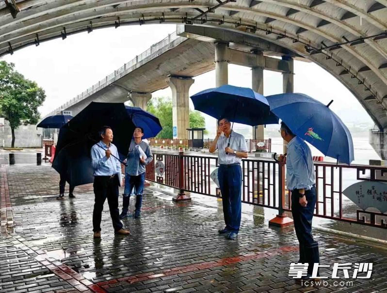 周海兵在湘江沿岸实地查看流域水位情况。   长沙晚报全媒体记者 黄汝兮 摄