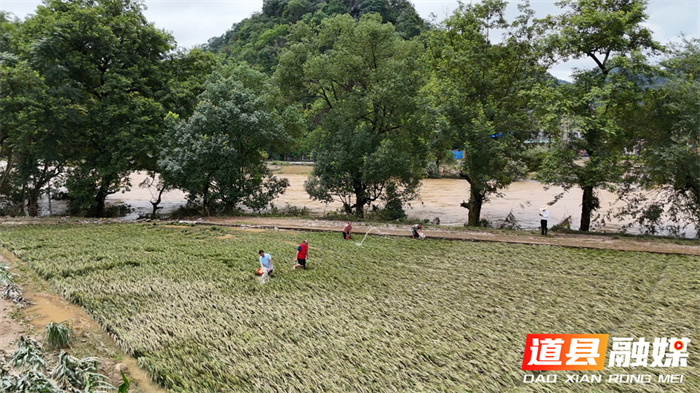 ??????????????????1_??.jpg ??????????????????1_??.jpg