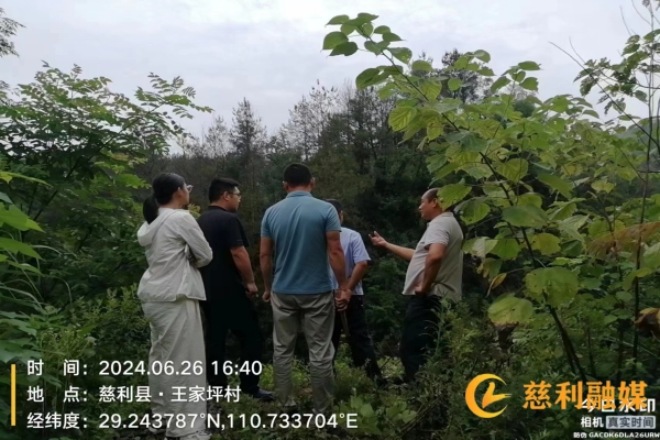 5faff489cabe6efe7bdb43e5c803bf8.jpg 5faff489cabe6efe7bdb43e5c803bf8.jpg