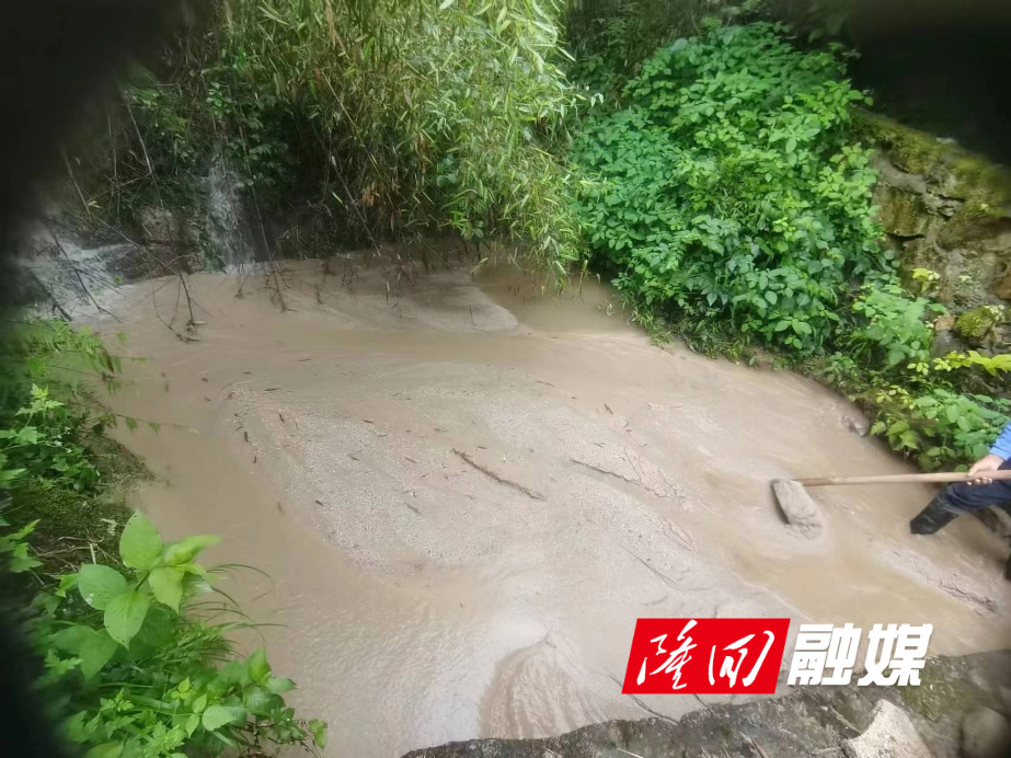 抗洪救灾 隆回县望云山国有林场驻村工作队在行动(图1)