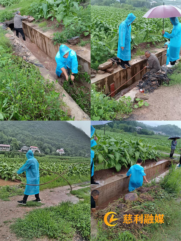 干群齐心疏通暗管堵死问题 保障烟田免受洪涝灾害_副本.jpg
