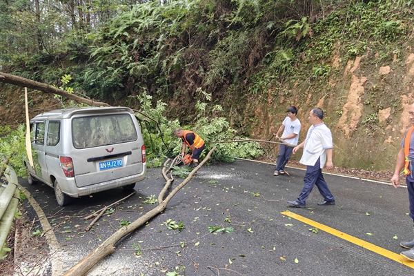 道路除险_副本.jpg