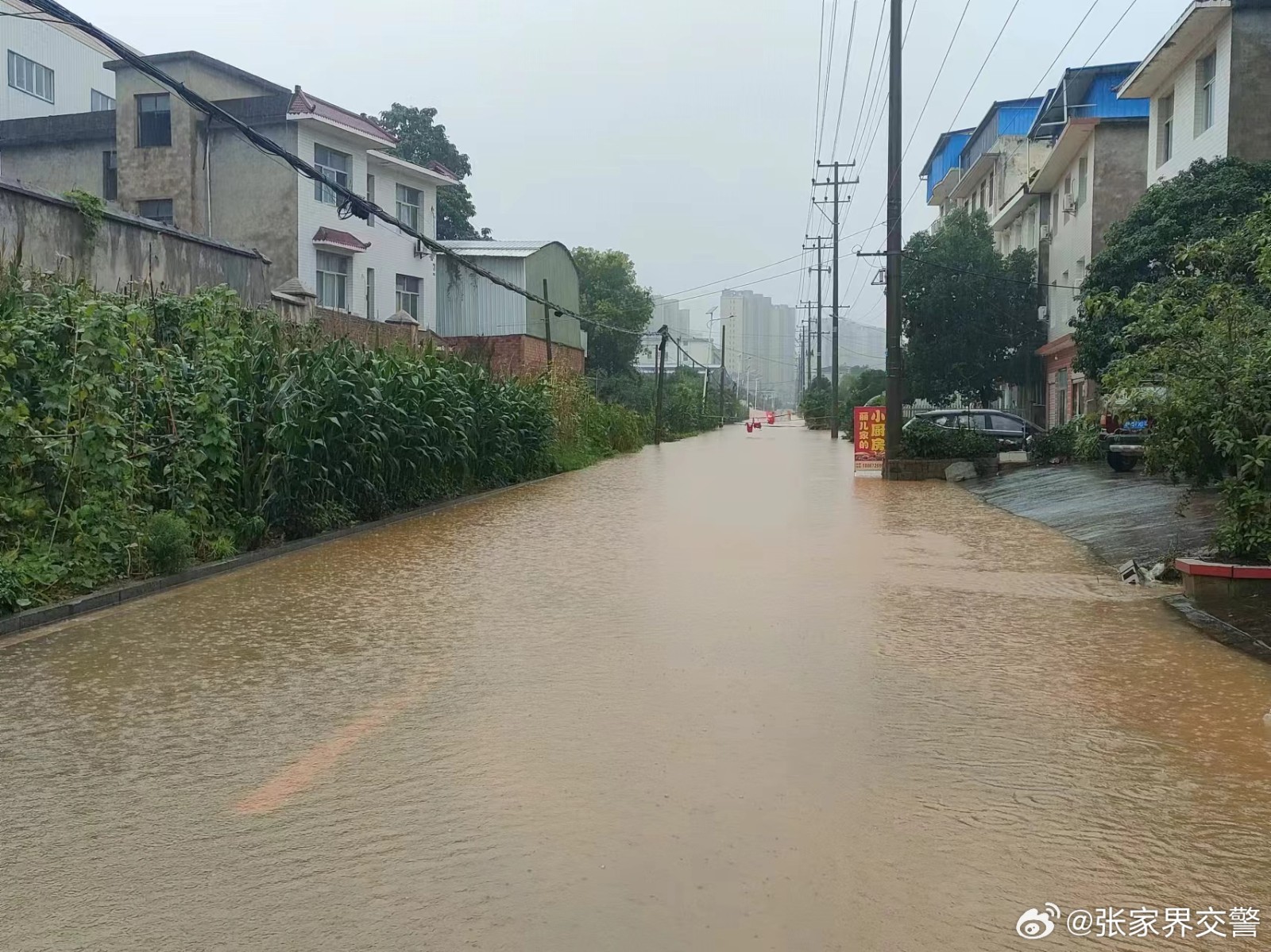 微信图片_20240701162244.jpg