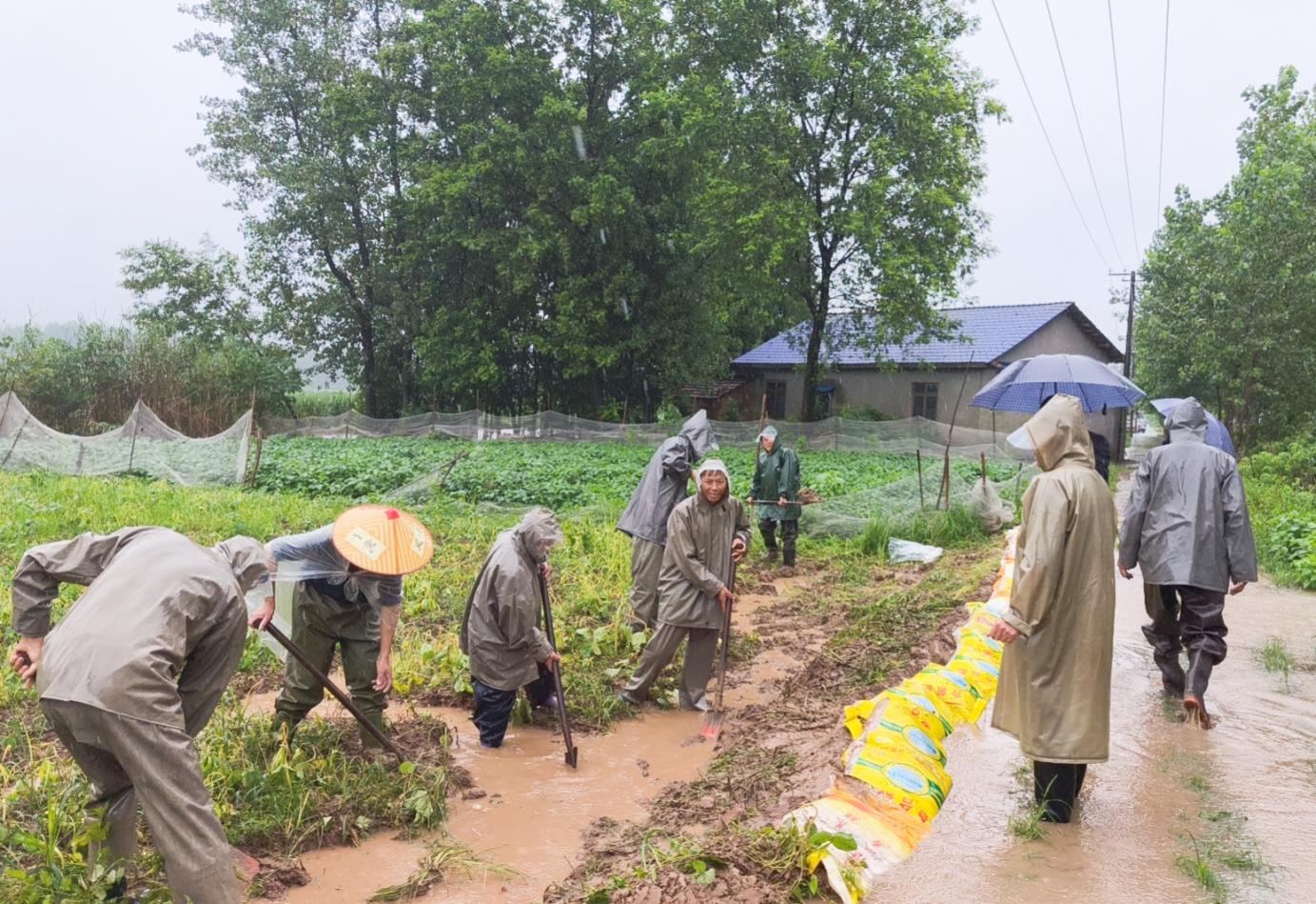 20240630_122521.jpeg 20240630_122521.jpeg