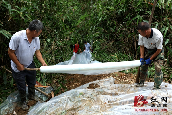 万佛山镇及时处置一处山体裂缝隐患 (5).jpg