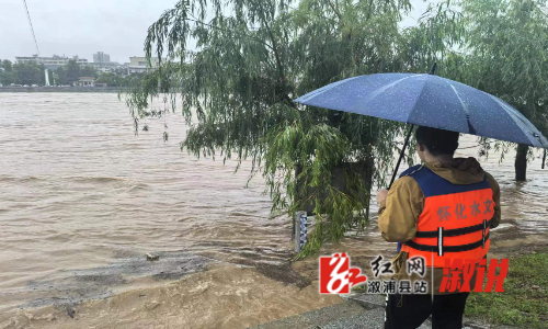 王.jpg