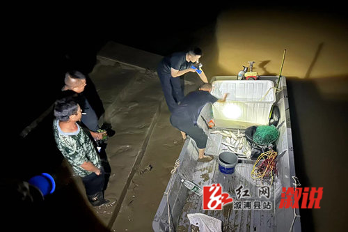 红网1.jpg